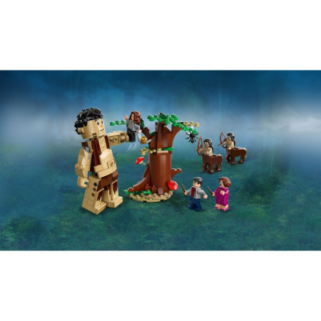 Конструктор Lego 75967 Harry Potter Запретный лес: Грохх и Долорес Амбридж