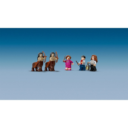 Конструктор Lego 75967 Harry Potter Запретный лес: Грохх и Долорес Амбридж