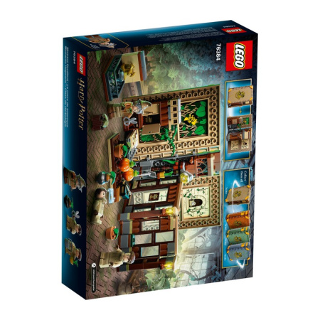 Конструктор Lego 76384 Harry Potter Учеба в Хогвартсе: Урок травологии