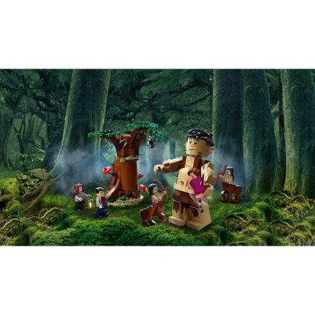 Конструктор Lego 75967 Harry Potter Запретный лес: Грохх и Долорес Амбридж